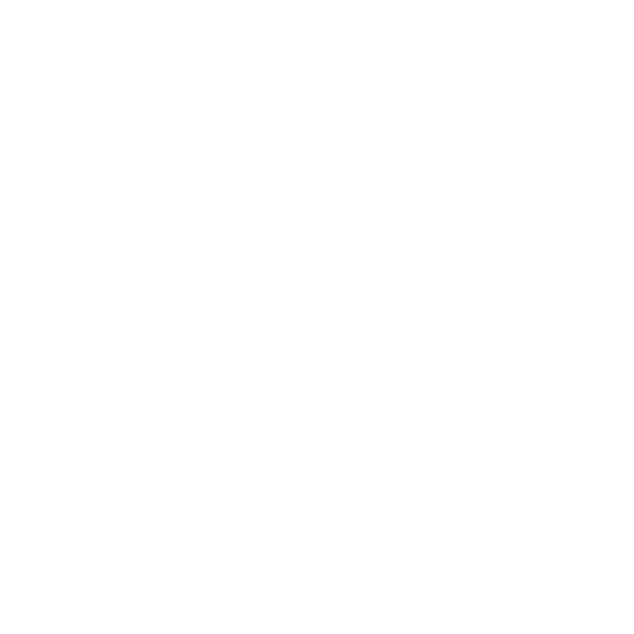 Aéronavette
